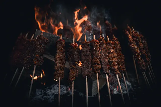 Le Guide Ultime du Meilleur Barbecue Électrique