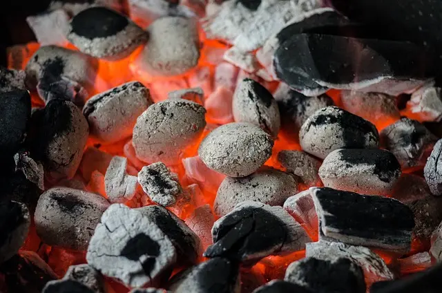 Meilleur assortiment viande pour barbecue : guide complet