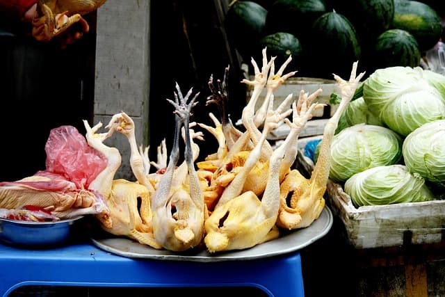 Guide détaillé pour maîtriser la cuisson de la volaille